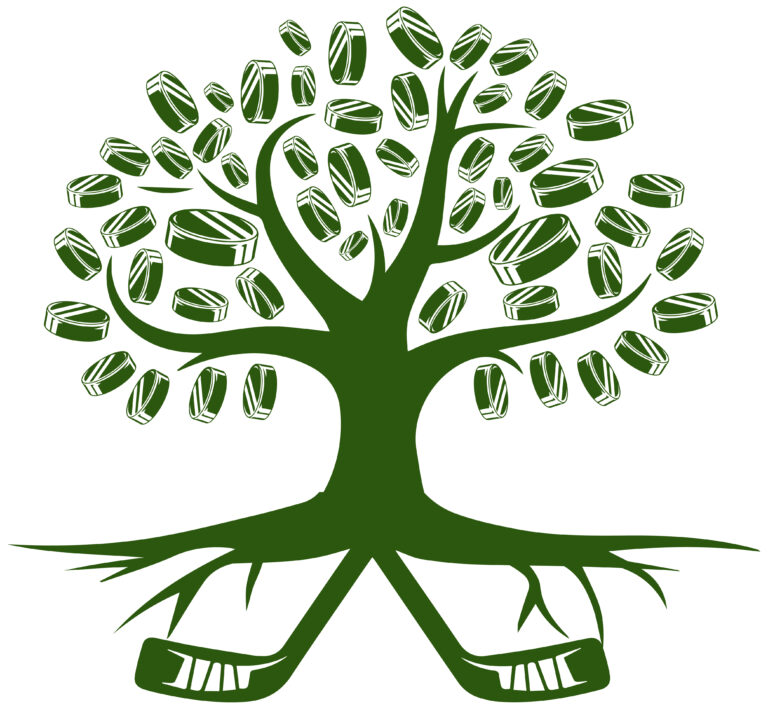 Hockey Kinetics Foundation